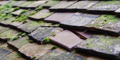 West Hanney roof repair costs